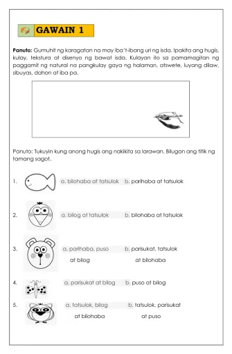 2nd Grade Arts worksheets - Edform