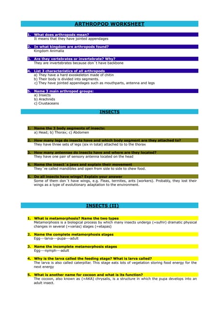 Arthropods and insect worksheets (answers) | PDF