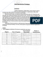 Asexual Reproduction Worksheet Key | PDF