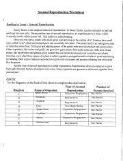 Asexual Reproduction Reading Worksheet 1 .pdf - Asexual ...