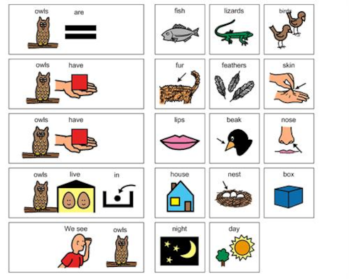 owls attribute worksheet