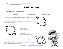 Determining the Authors Purpose Worksheets