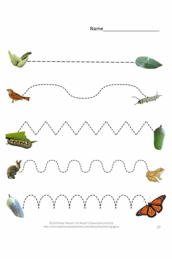 Autism Worksheets - nature &  insects - Special Learning House