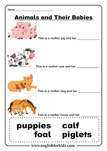 baby animal names worksheet