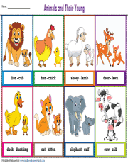 baby animal names worksheet