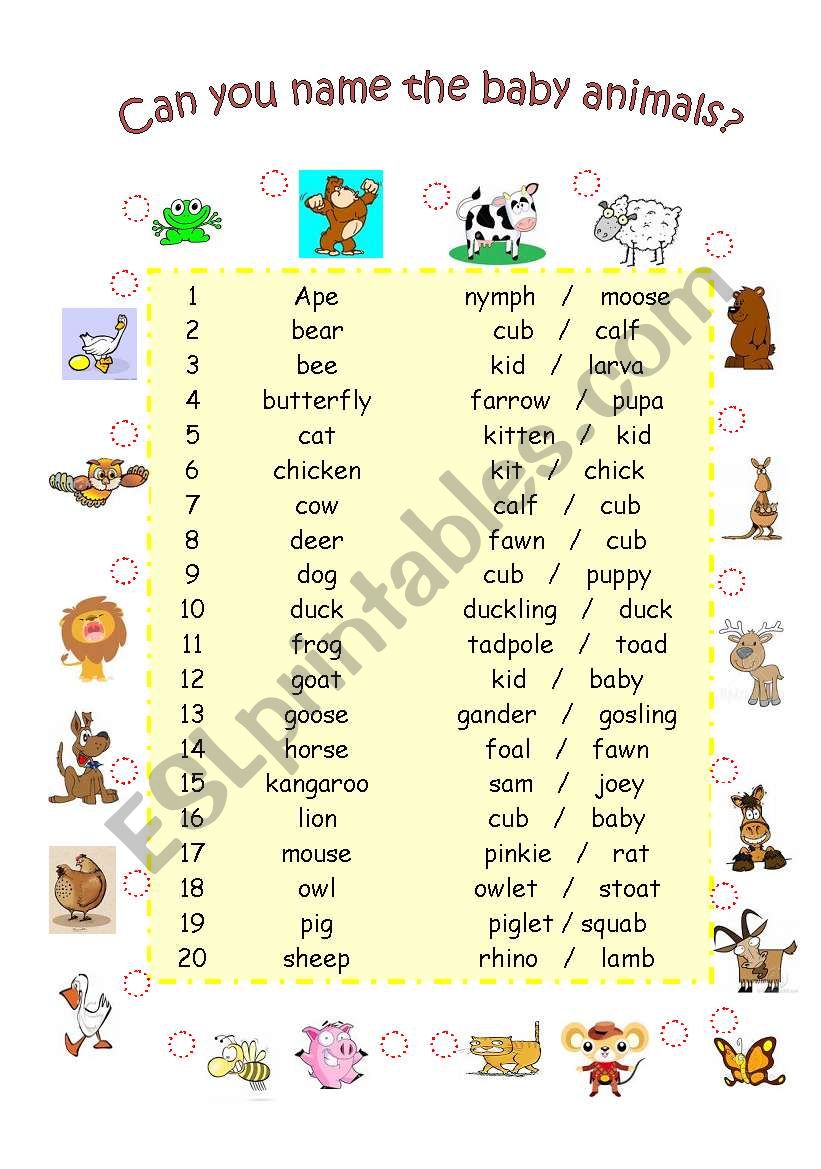 baby animal names worksheet