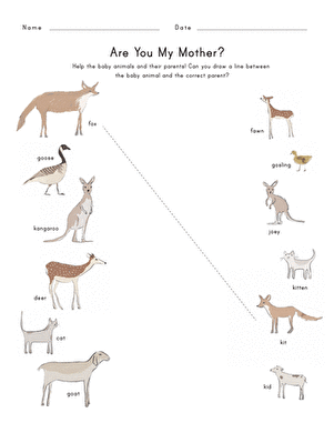 baby animal names worksheet