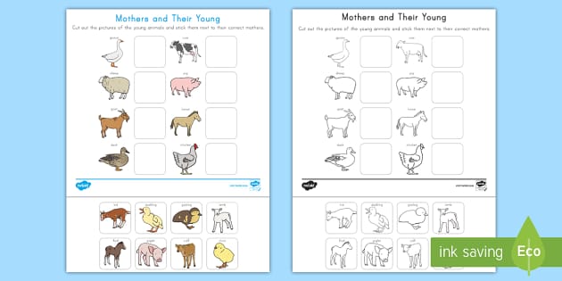 baby animals and their mothers worksheet
