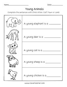 baby animals names worksheet