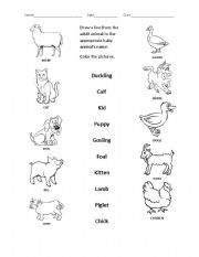 baby animals names worksheet