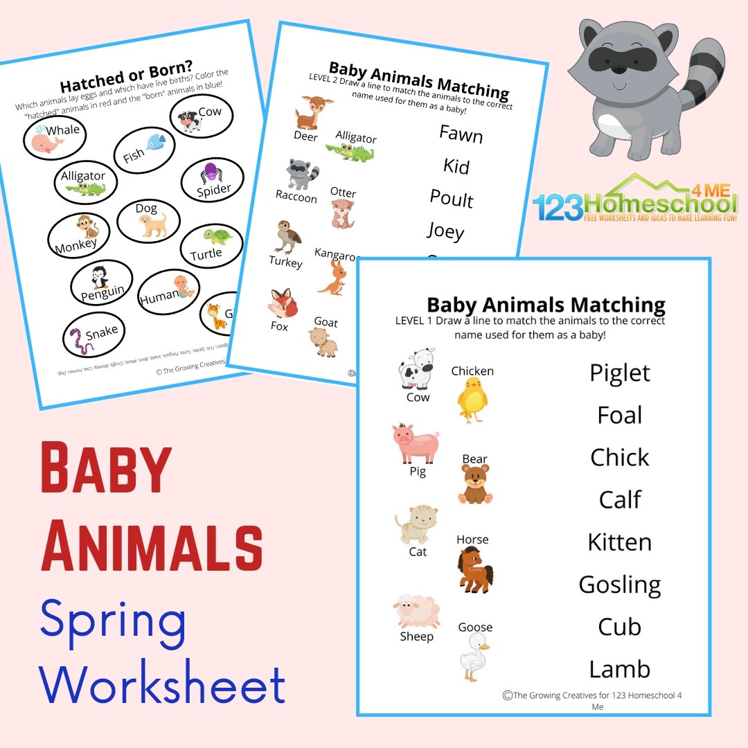 ? FREE Printable Baby Animals Worksheets