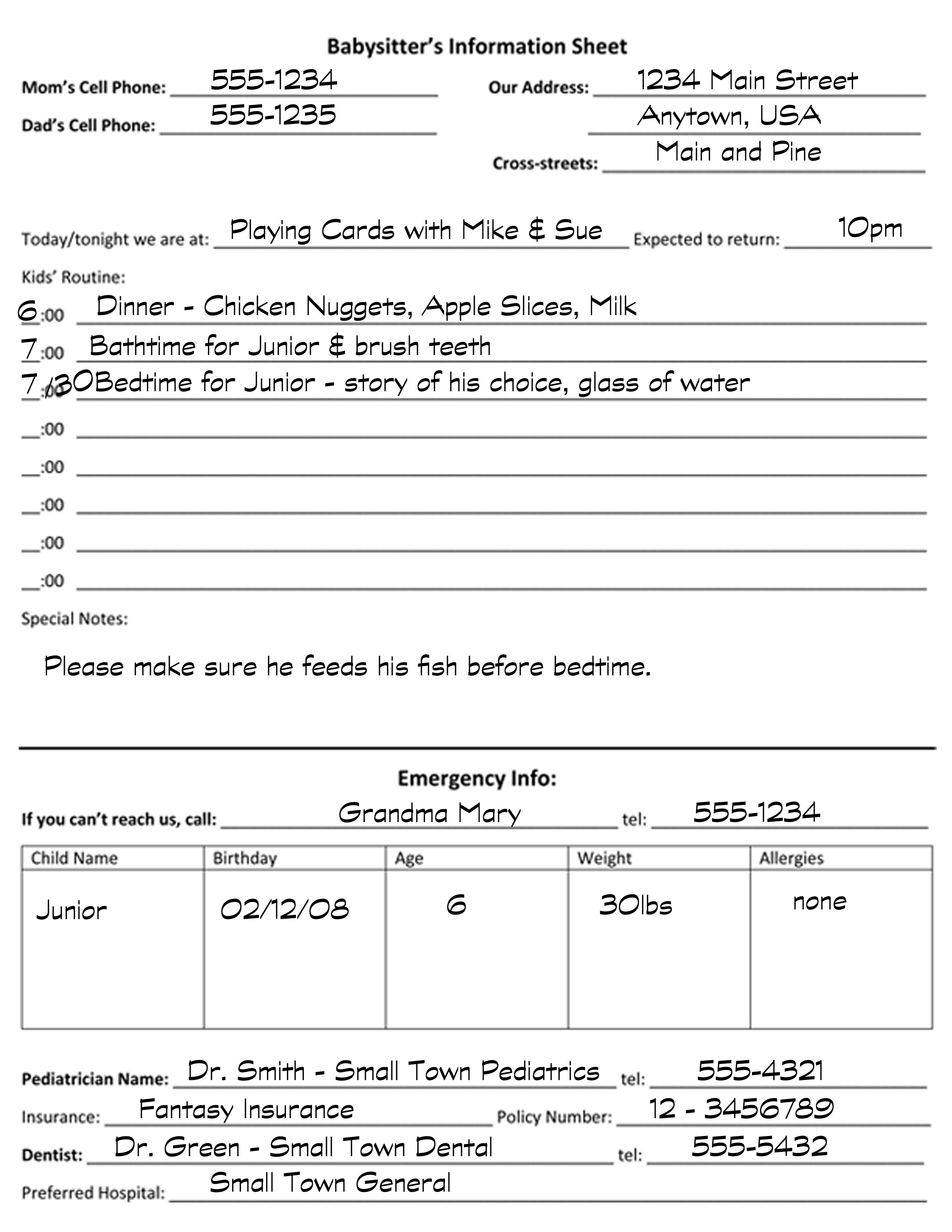 Babysitter Information Sheet Template - 7+ Free Word, PDF ...