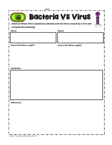 bacteria and viruses worksheet