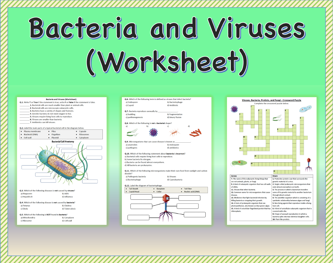 Bacteria and Viruses Worksheet Printable and Distance Learning