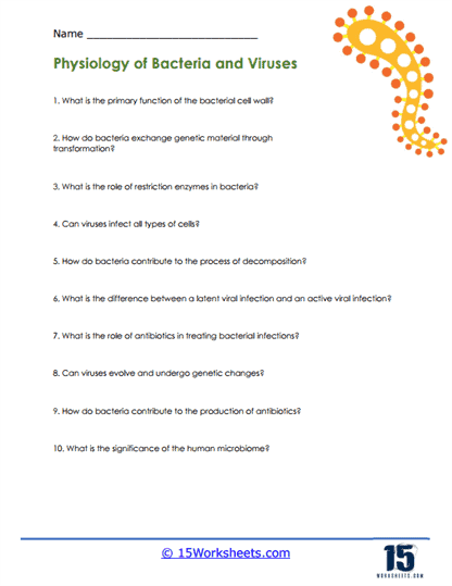 bacteria and viruses worksheet
