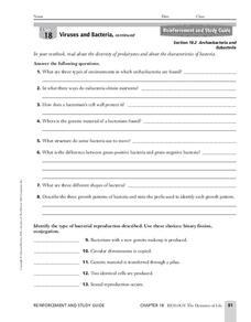 bacteria worksheet high school biology