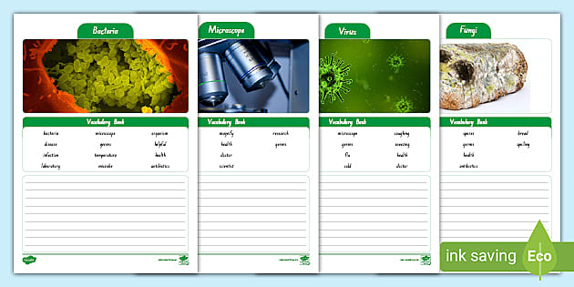bacteria worksheet high school biology