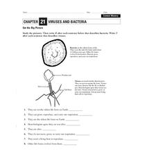 Viruses and Bacteria Worksheet for 9th - 12th Grade | Lesson Planet
