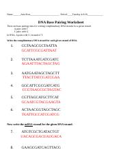 9 Base Pairing Worksheet.pdf.docx - Name Asia Ross Period: Tuesday ...