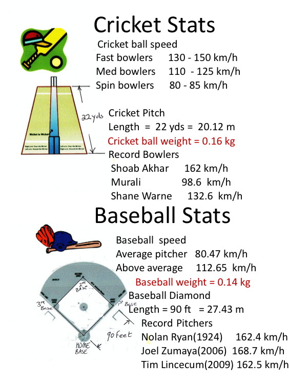 baseball and middle school worksheet and math