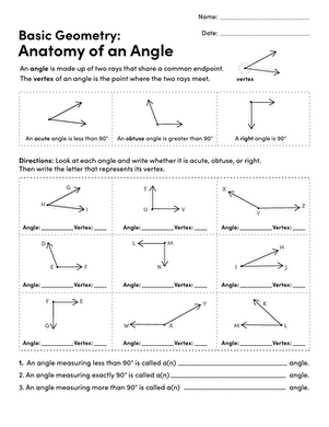 Basic Geometry: Anatomy of an Angle | Worksheet 