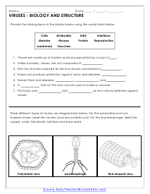 Science Worksheets