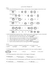 Genetics Basics Worksheet.pdf - Genetics Basics Worksheet #1 Part ...
