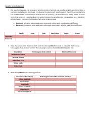 basic genetics worksheet
