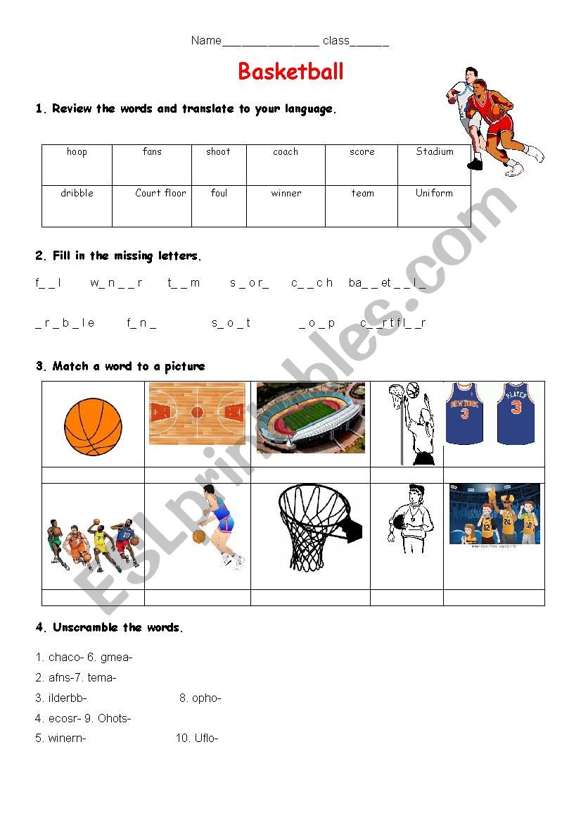 Basketball - ESL worksheet by schulzi