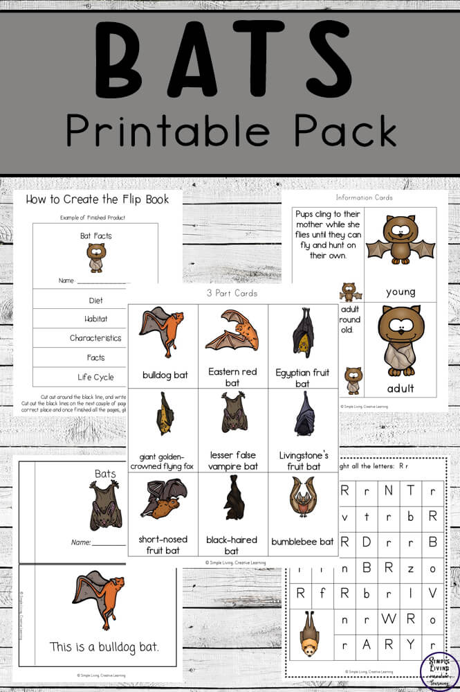 Bat Printable Pack - Simple Living. Creative Learning