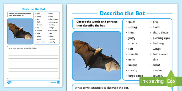 Describe the Bat Writing Worksheet (teacher made) - Twinkl