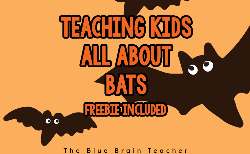 Bat Worksheet for Elementary Kids ⋆ The Blue Brain Teacher