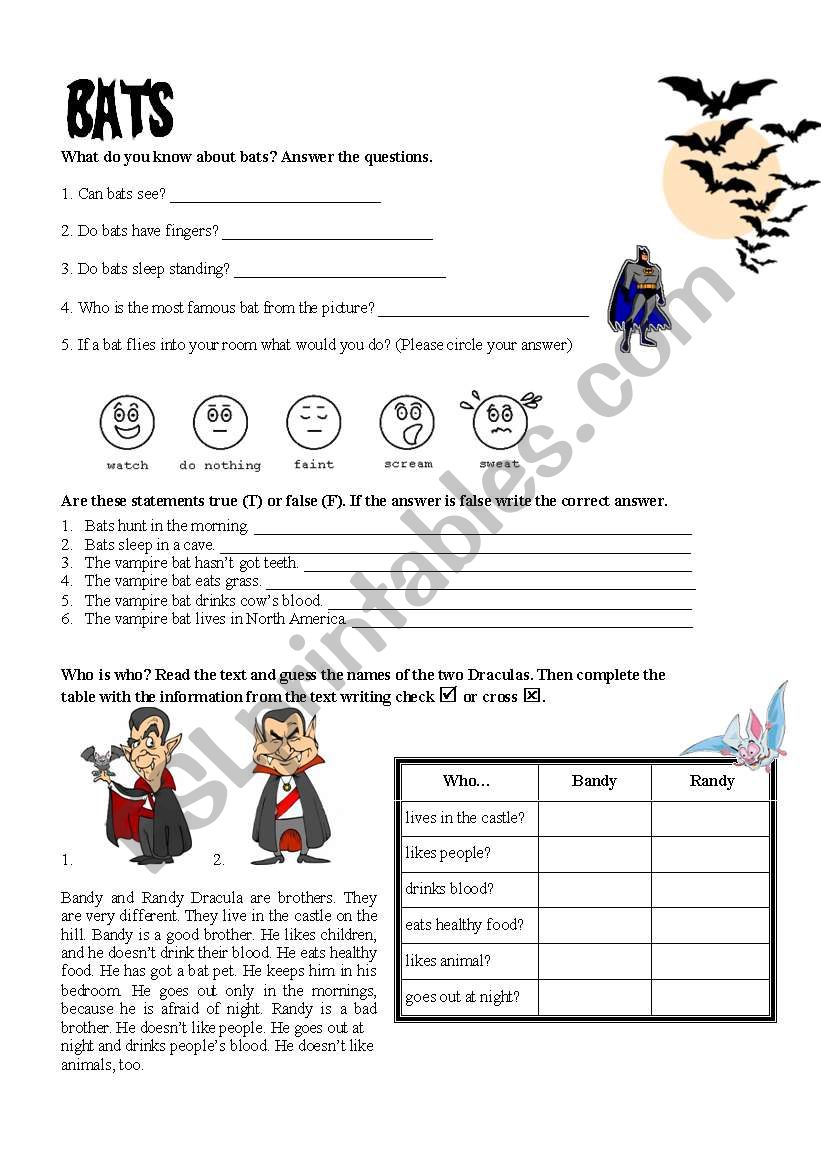 Bats - ESL worksheet by alisadedic