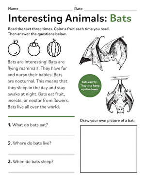 Interesting Animals: Bats | Worksheet 