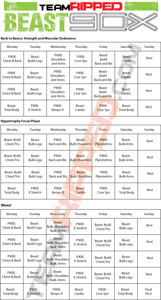 P90X and Body Beast Hybrid - Coach Wayne / teamRIPPED