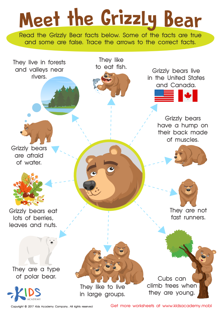Grizzly Bear Facts Worksheet: Free Printable PDF for Kids