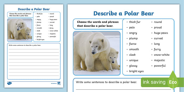 Describe a Polar Bear Worksheet,polar bear (teacher made)