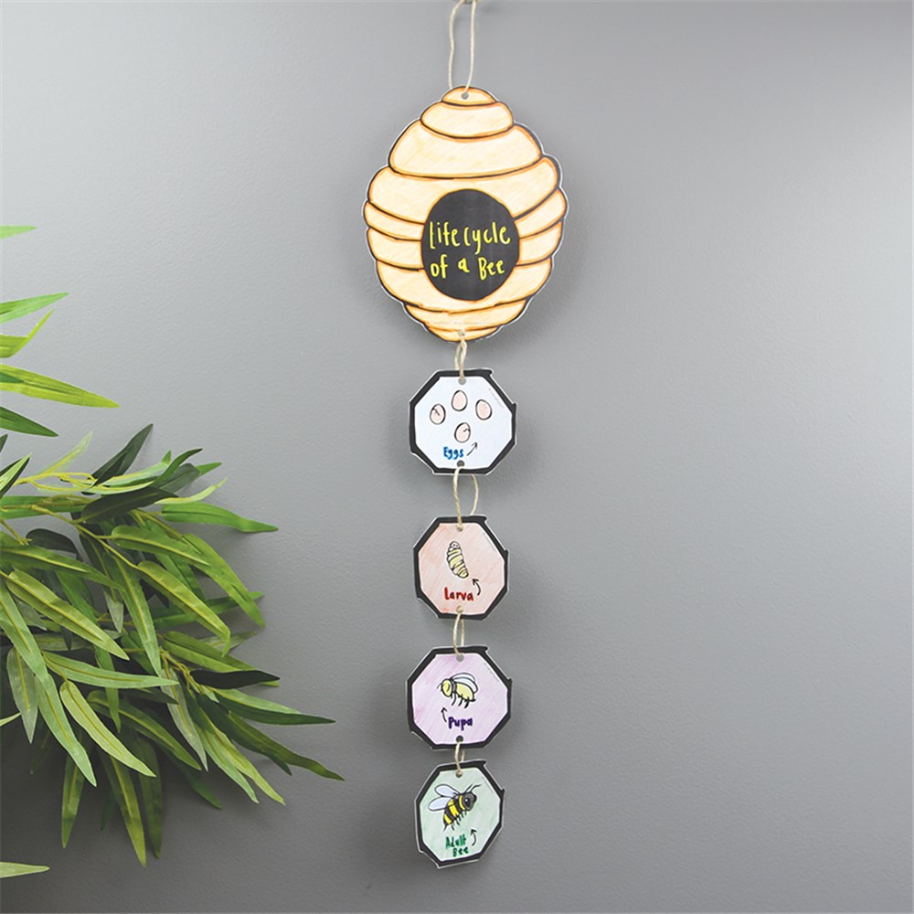 Life Cycle of a Bee - CleverPatch | CleverPatch - Art &  Craft Supplies