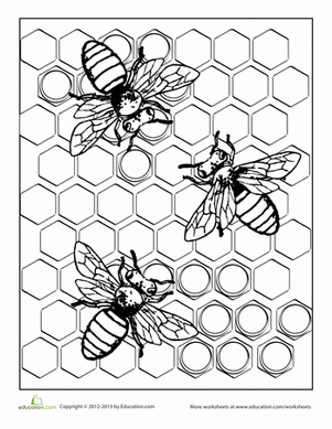 Bee | Worksheet 