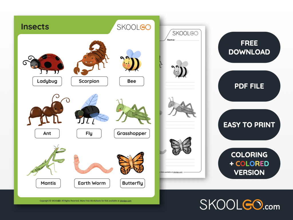 Free Bee Printable Worksheets - SKOOLGO
