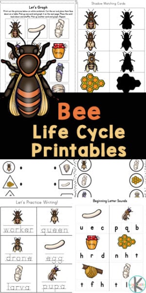 bee worksheet for kindergarten