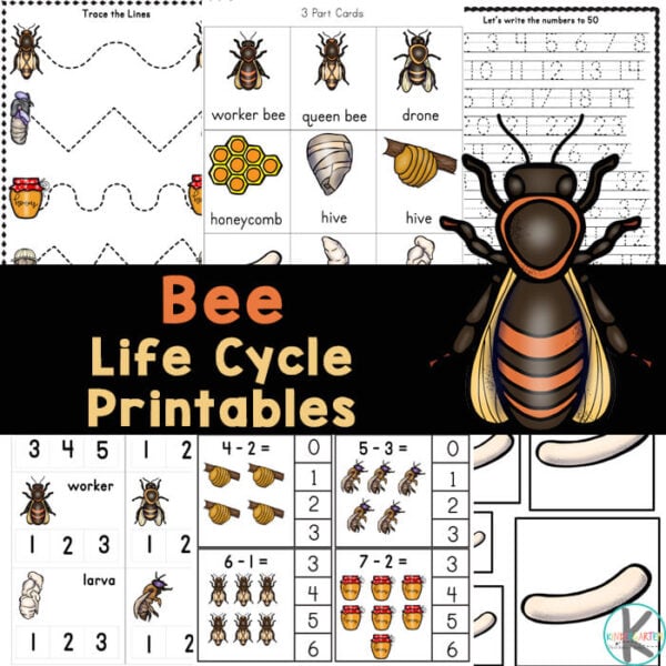 bees for kids worksheet