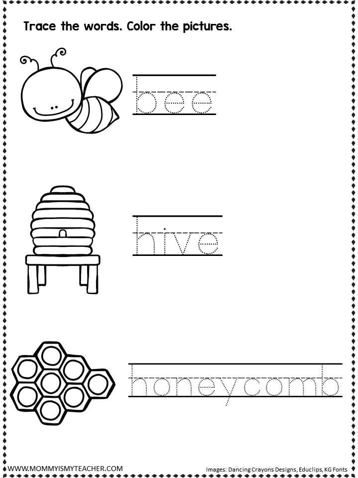 bees for kids worksheet