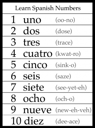 beginner spanish worksheet printable
