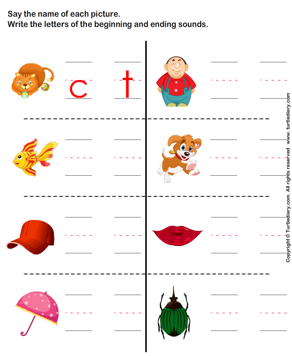 Write the Letter of Beginning and Ending Sound | Turtle Diary ...