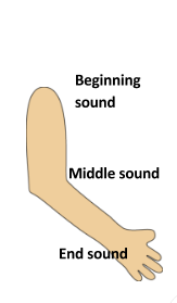 beginning middle end sounds