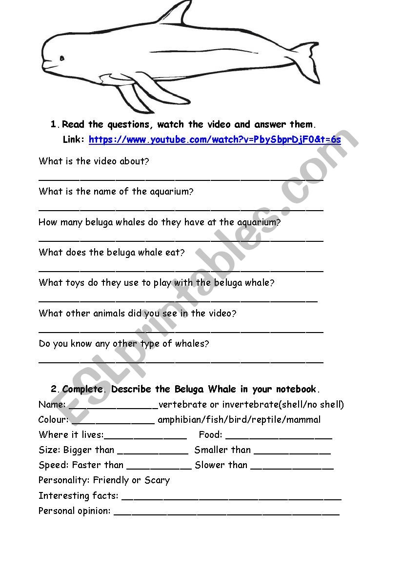 Learn abour sea animals: beluga whale - ESL worksheet by leti_ch