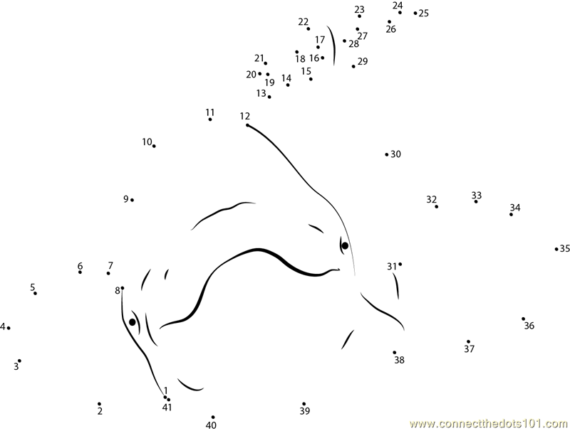 Beluga Whale Relaxing dot to dot printable worksheet - Connect The ...