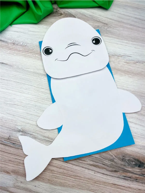 beluga whale worksheet