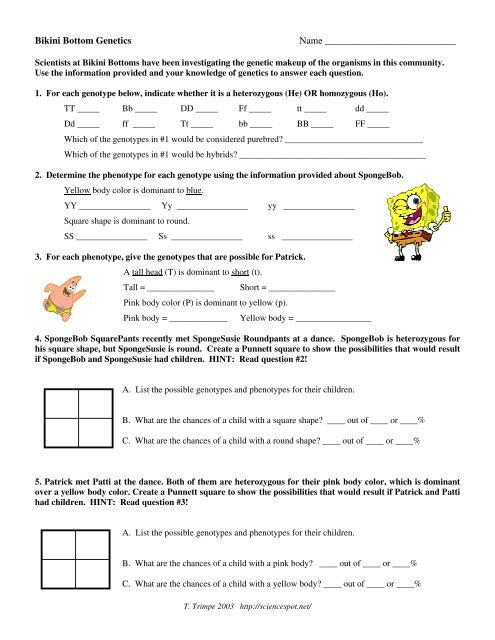 Bikini Bottom Genetics Name - The Science Spot